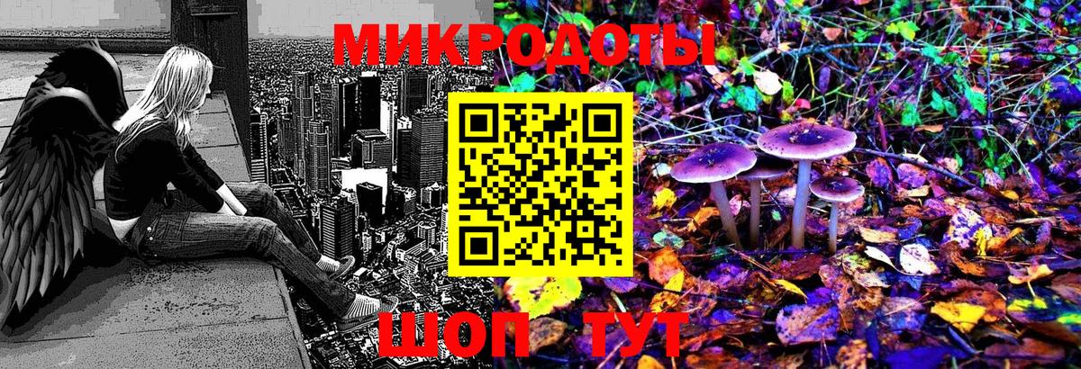 Псилоцибиновые грибы Magic Shrooms  Вход с VPN  Тында  Псилоцибиновые грибы Cubensis 