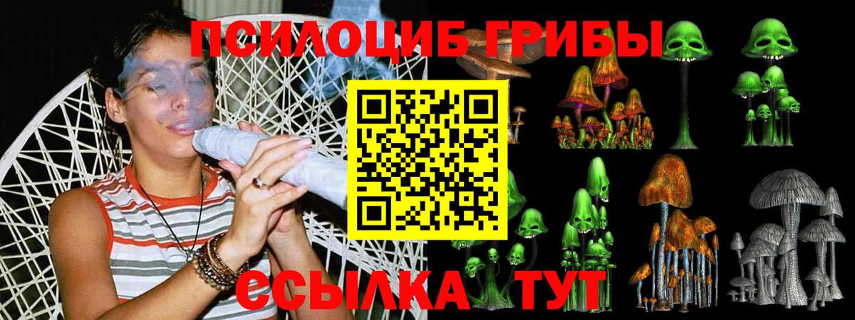 Псилоцибиновые грибы GOLDEN TEACHER Тында